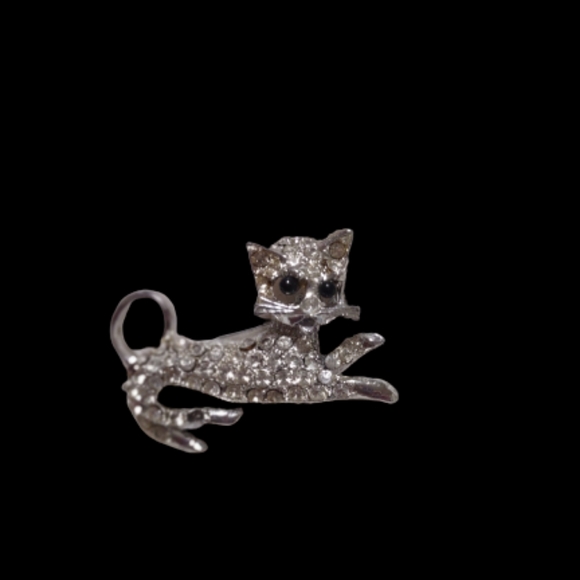 Jewelry - Vintage Silver Finished Black Eyed & Clear Rhinestones Brooch Pin